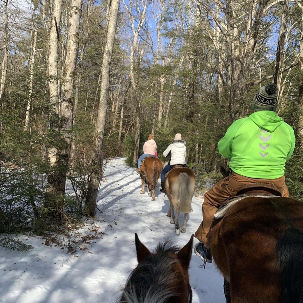 Wow!! Ultimate Pocono Retreat, Hot Tub, Game Room, Deck, Lakes, Skiing, Pools Long Pond Ngoại thất bức ảnh